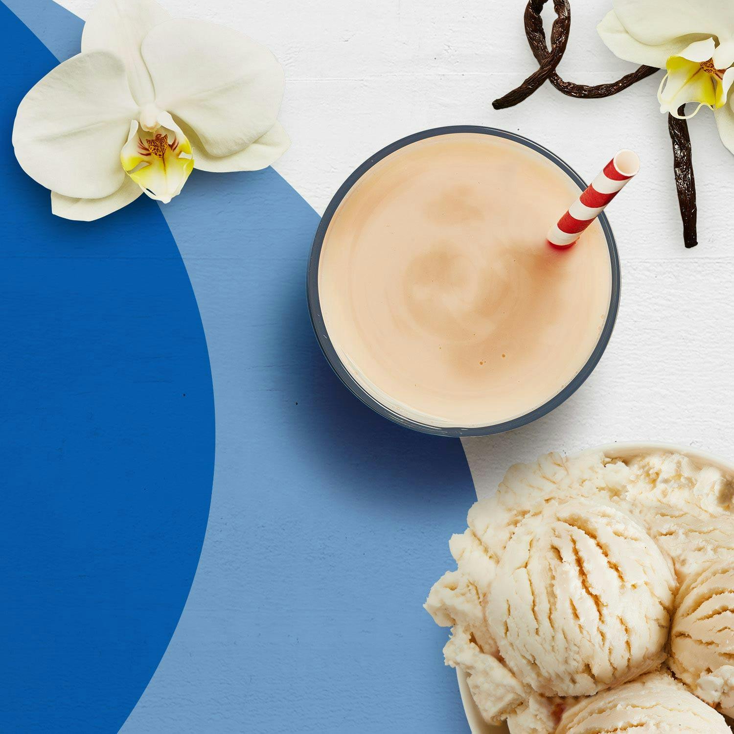 A vanilla Premier Protein shake surrounded by a bowl of vanilla ice cream, and a vanilla bean.
