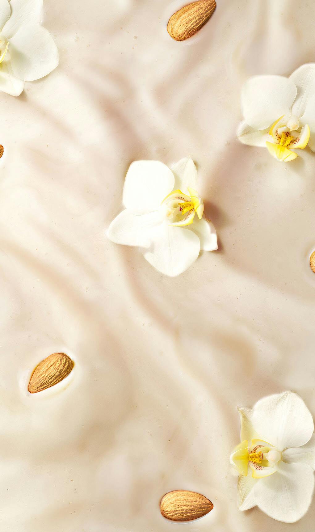 Pp almondmilk vanilla flavor cue 2x