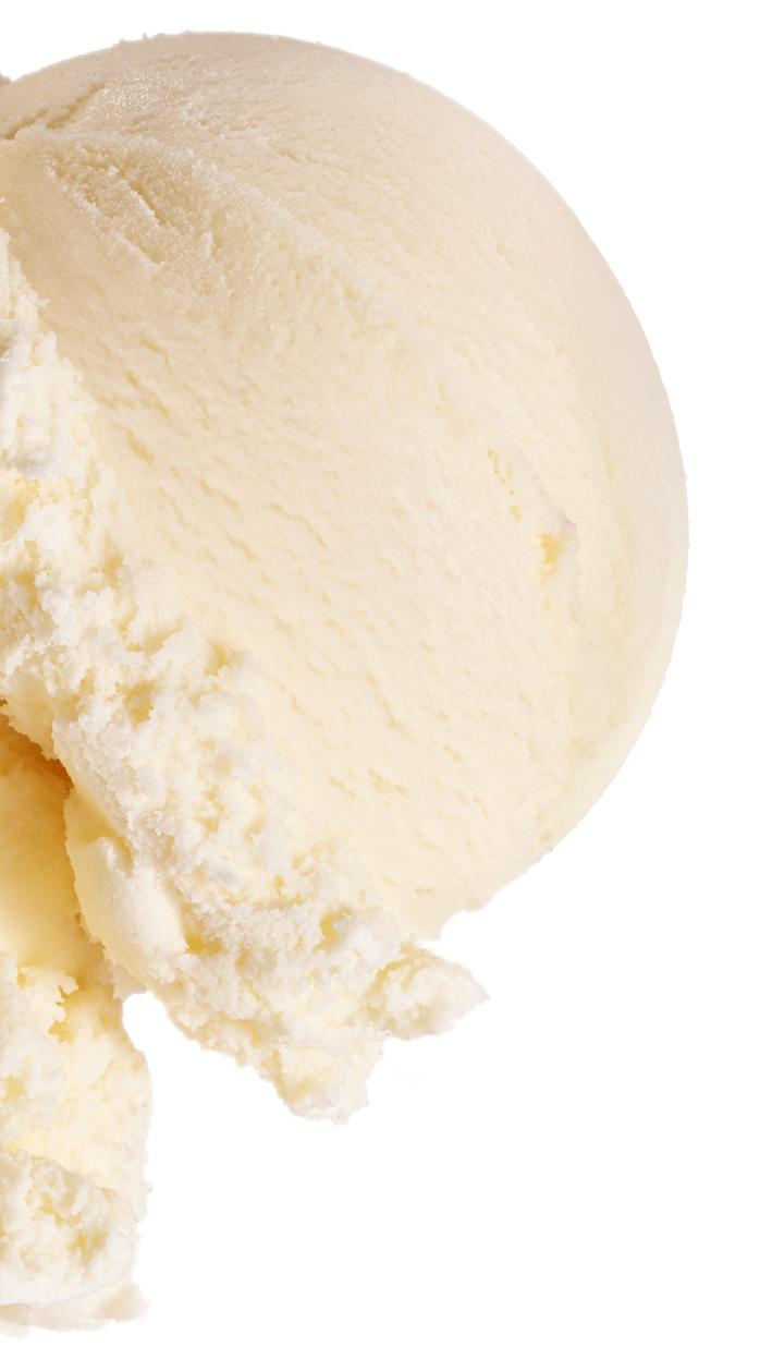 Decorative Scoops of Vanilla Ice Cream